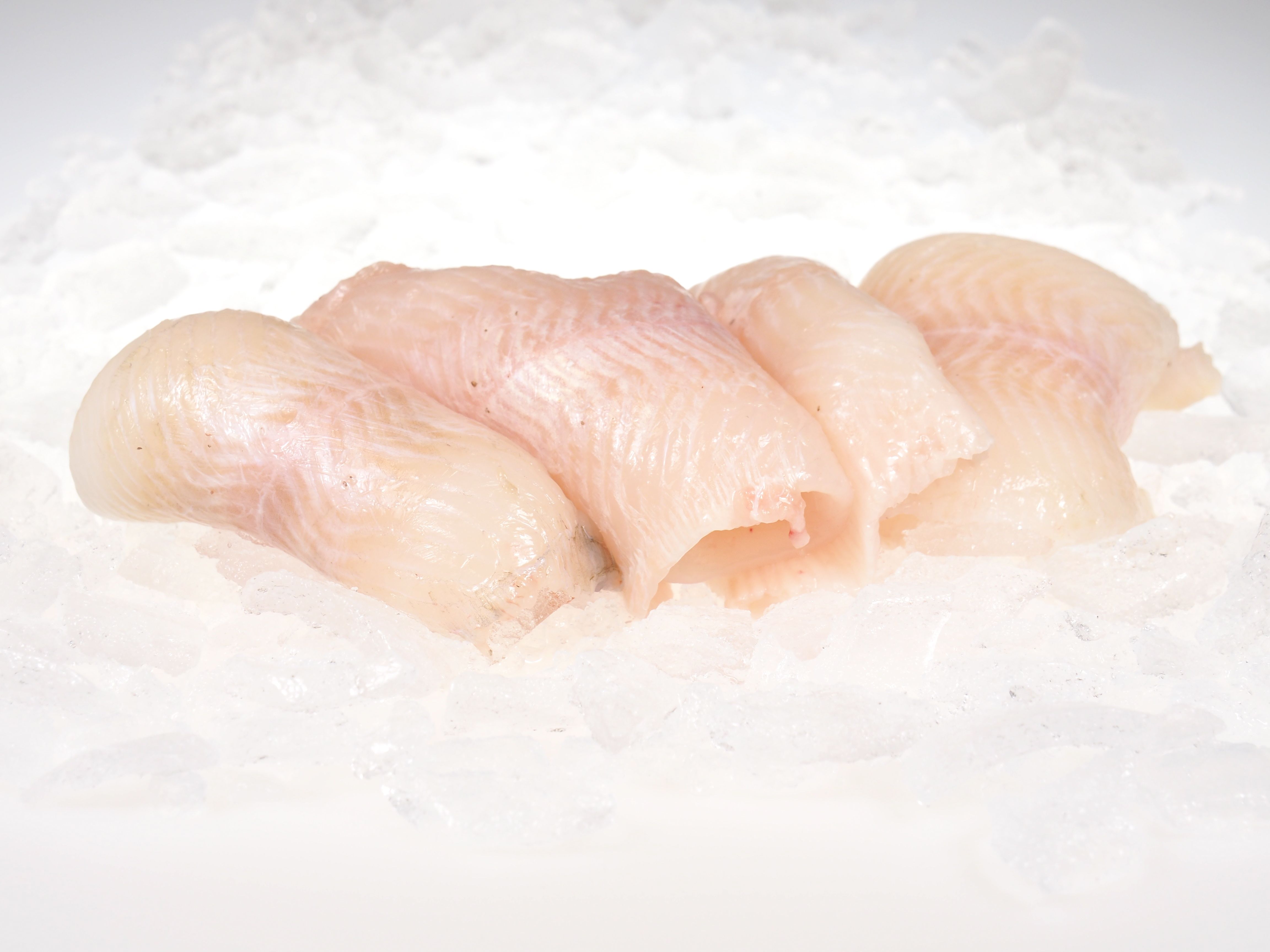 Limandesfilet Limandesfilet