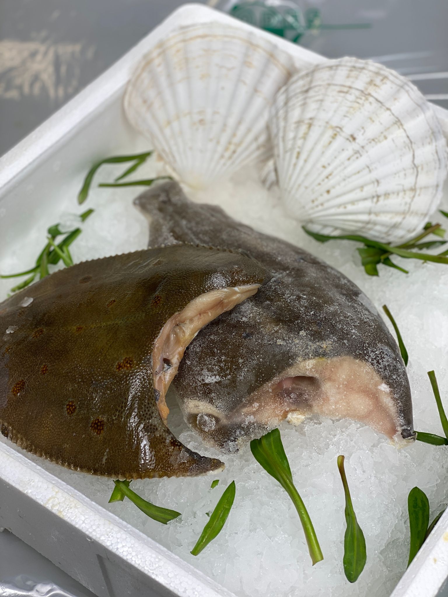 Scholle küchenfertig 400 g TK