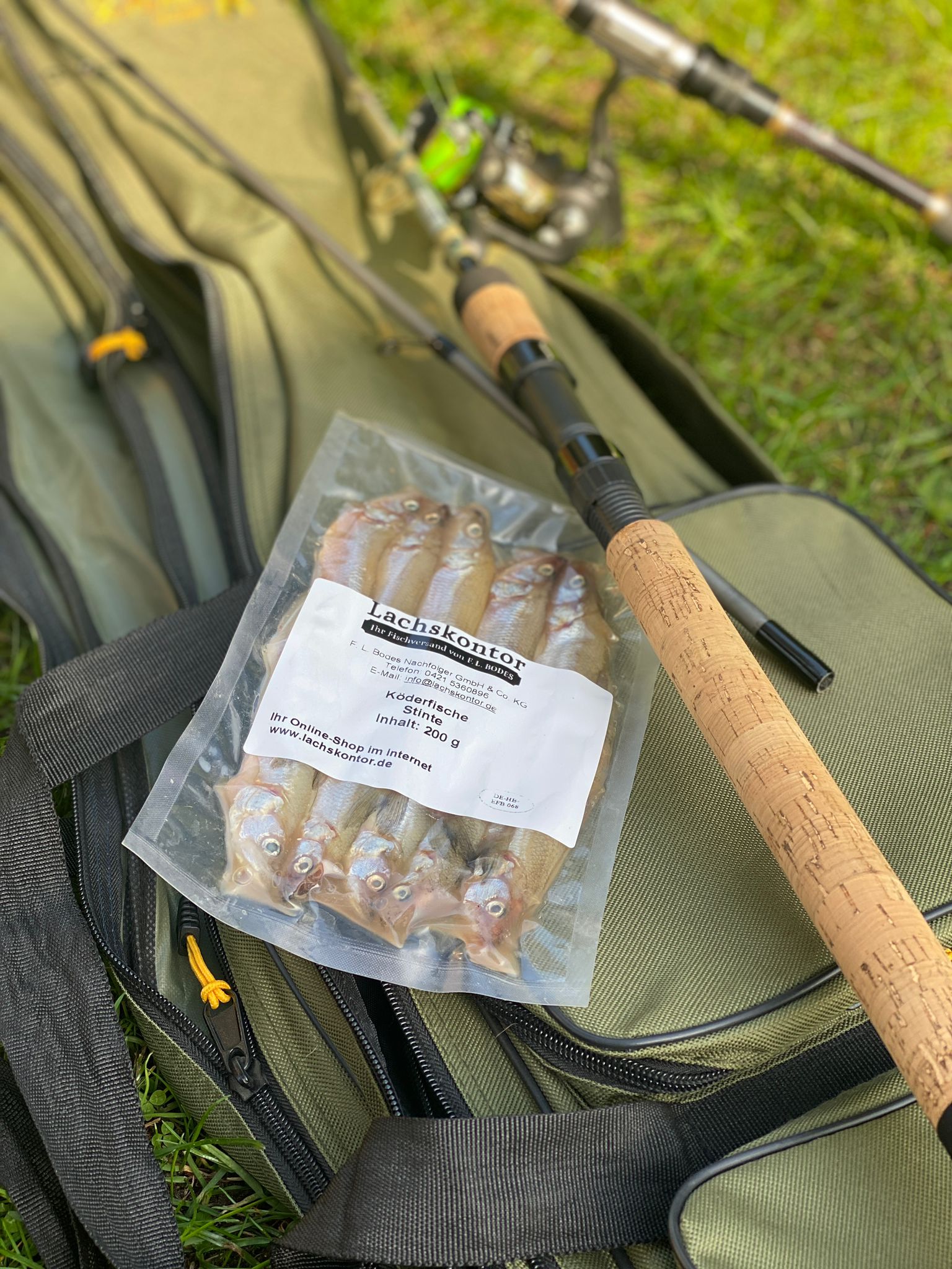Stint als Köderfisch 200 g