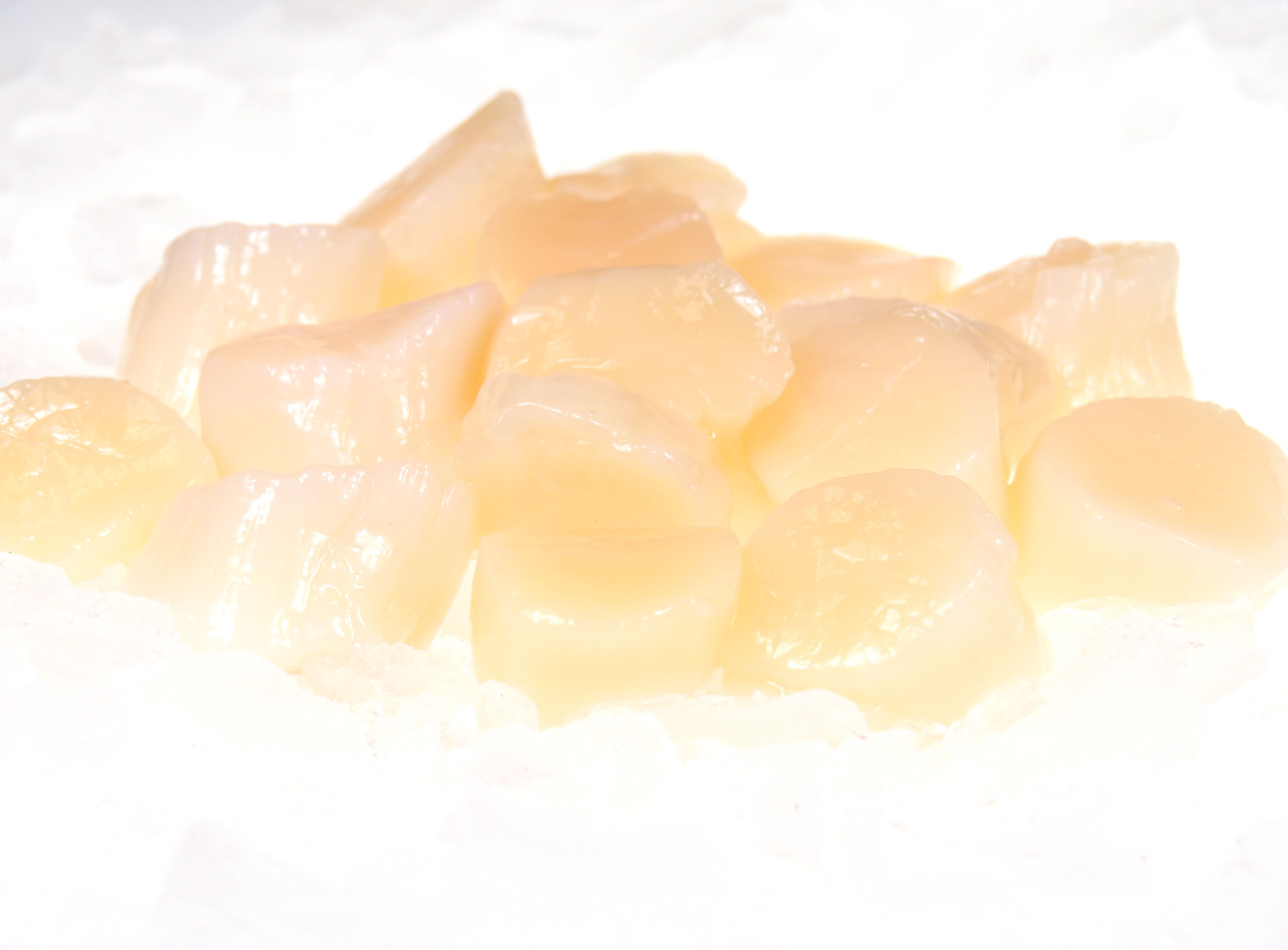 Kammmuscheln 1 kg Becher