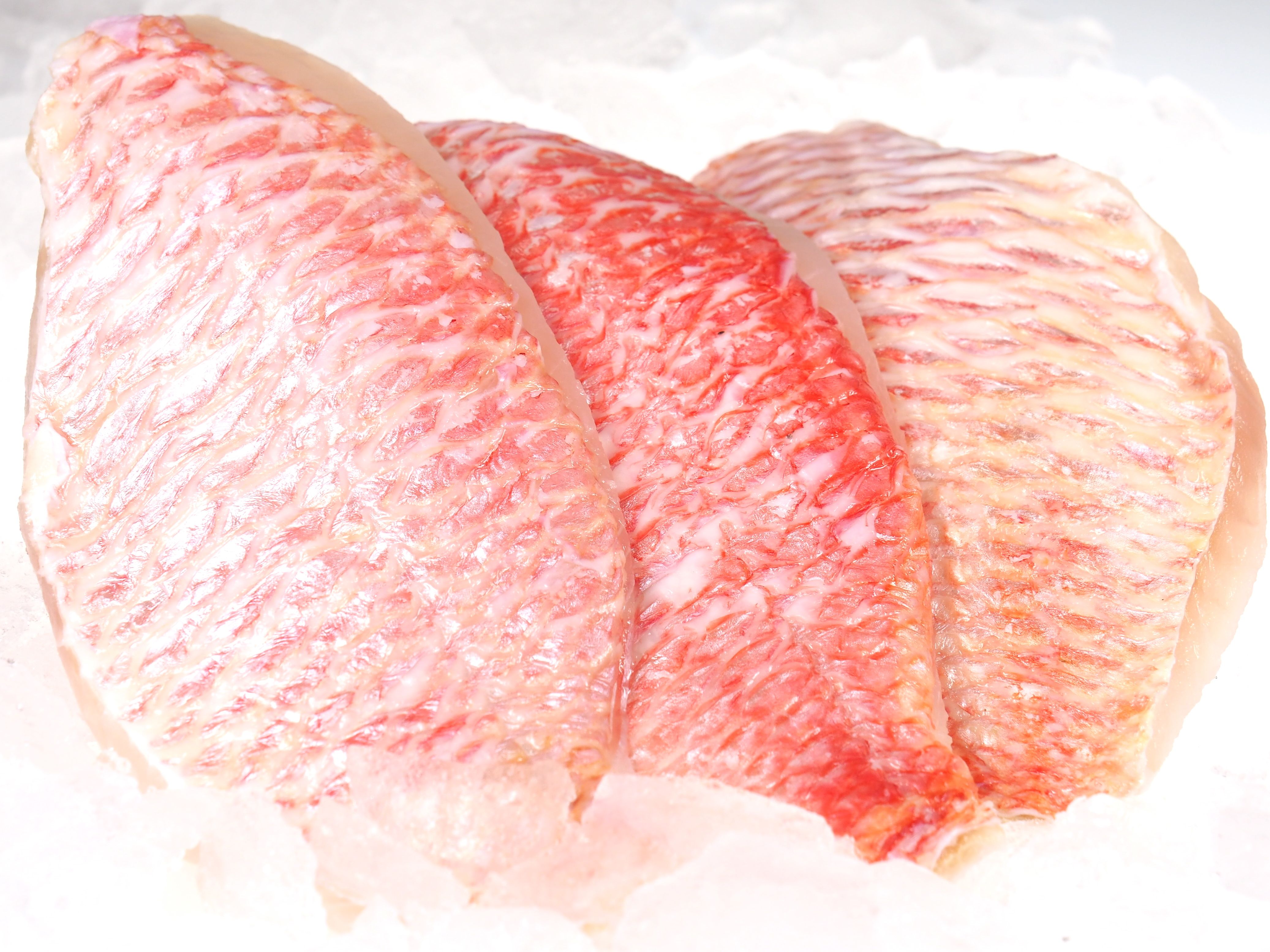 Red-Snapper-Filet Red Snapper Filet