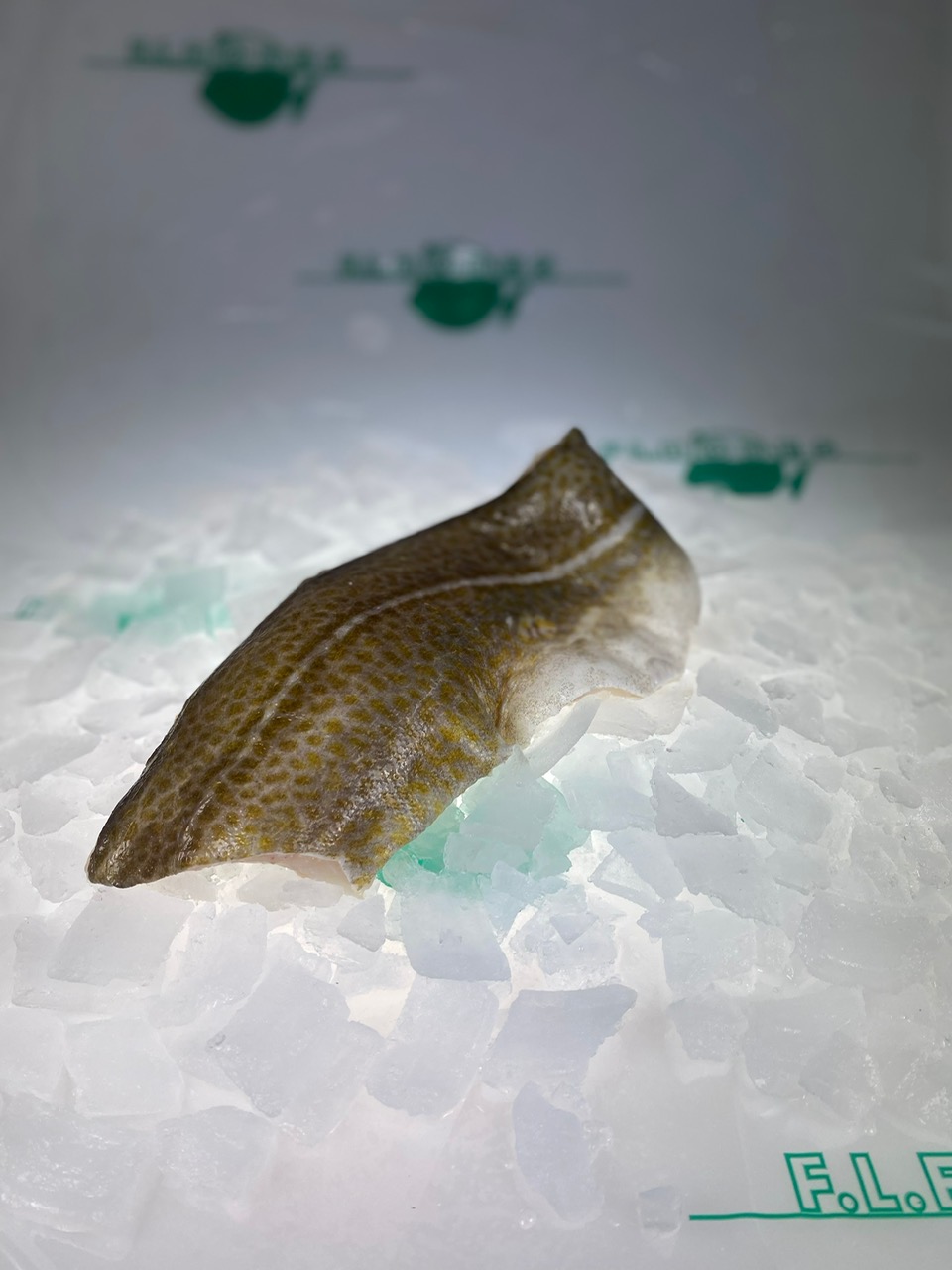 Skrei - Winterkabeljau Filet mit Haut