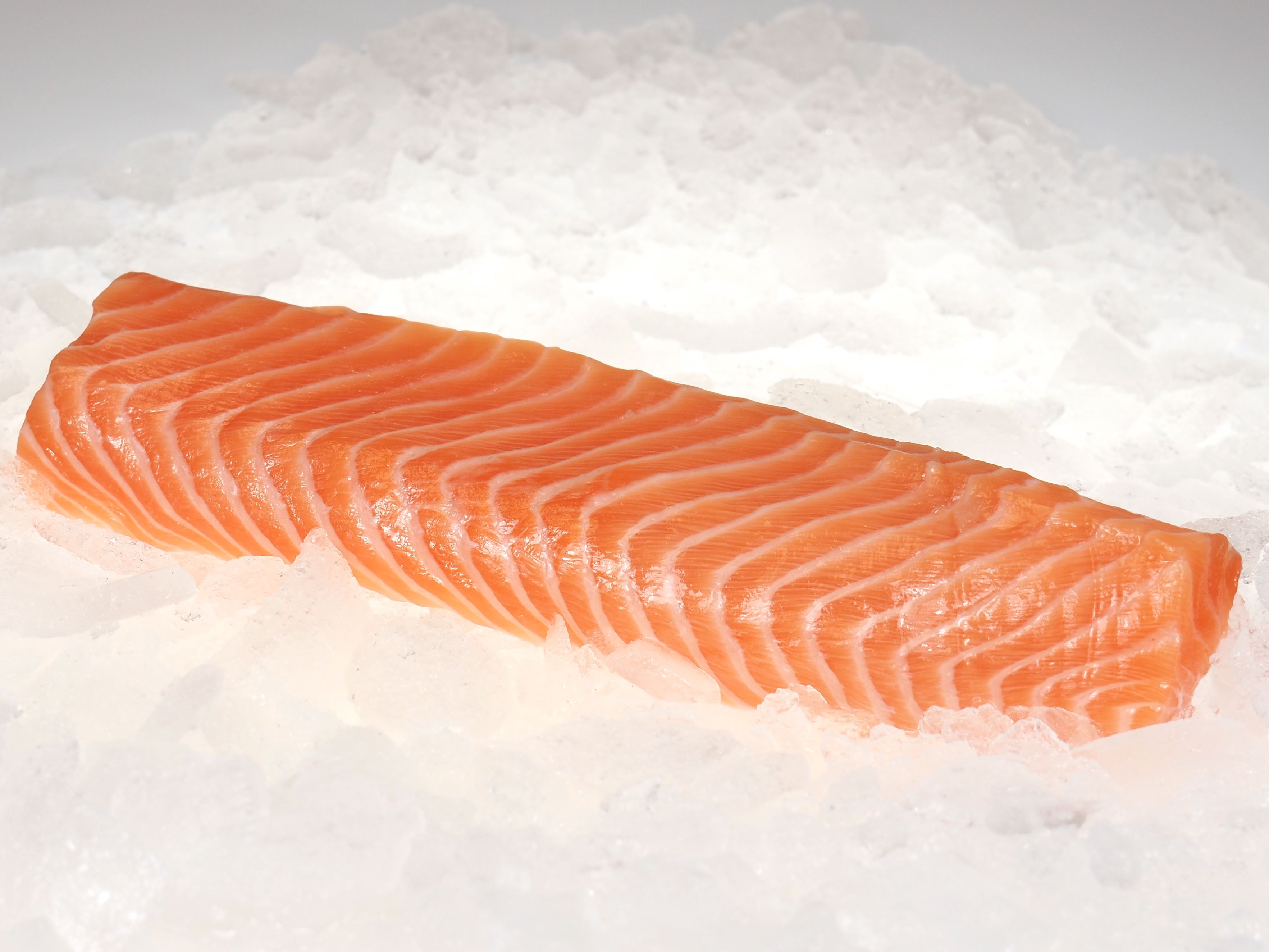 Lachsloin Lachs-Rückenfilet