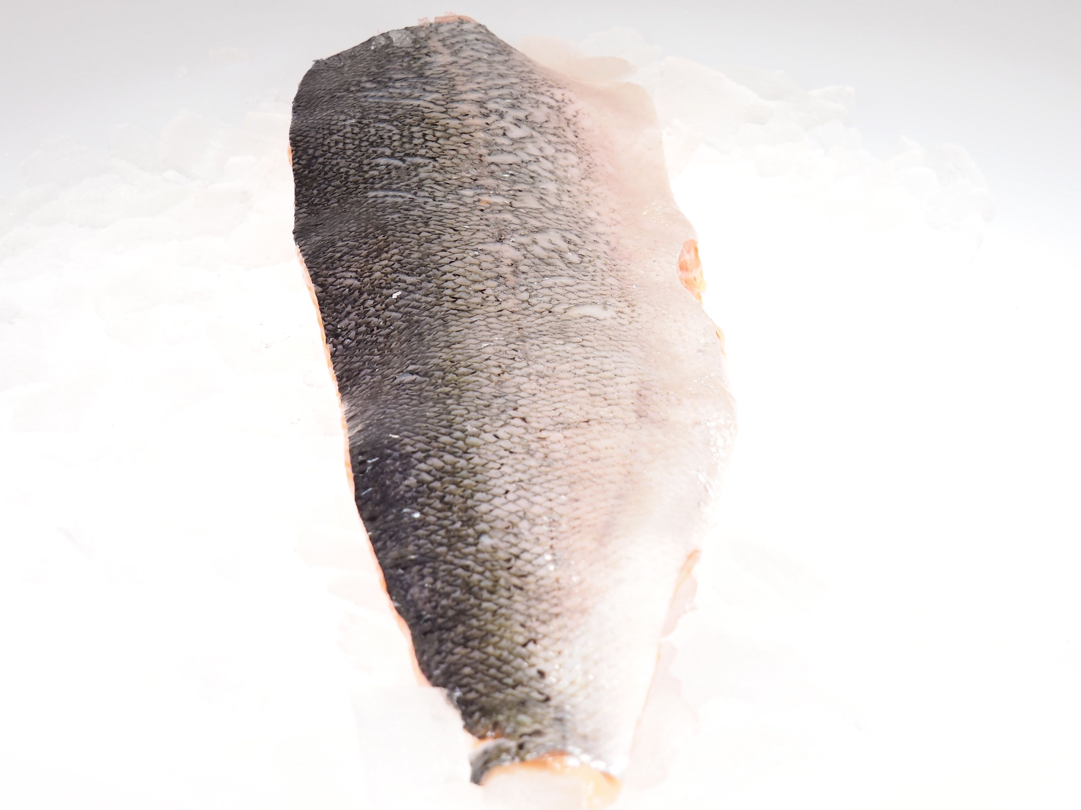 Lachsfilet-mit-Haut-geschuppt Lachsfilet mit Haut, geschuppt