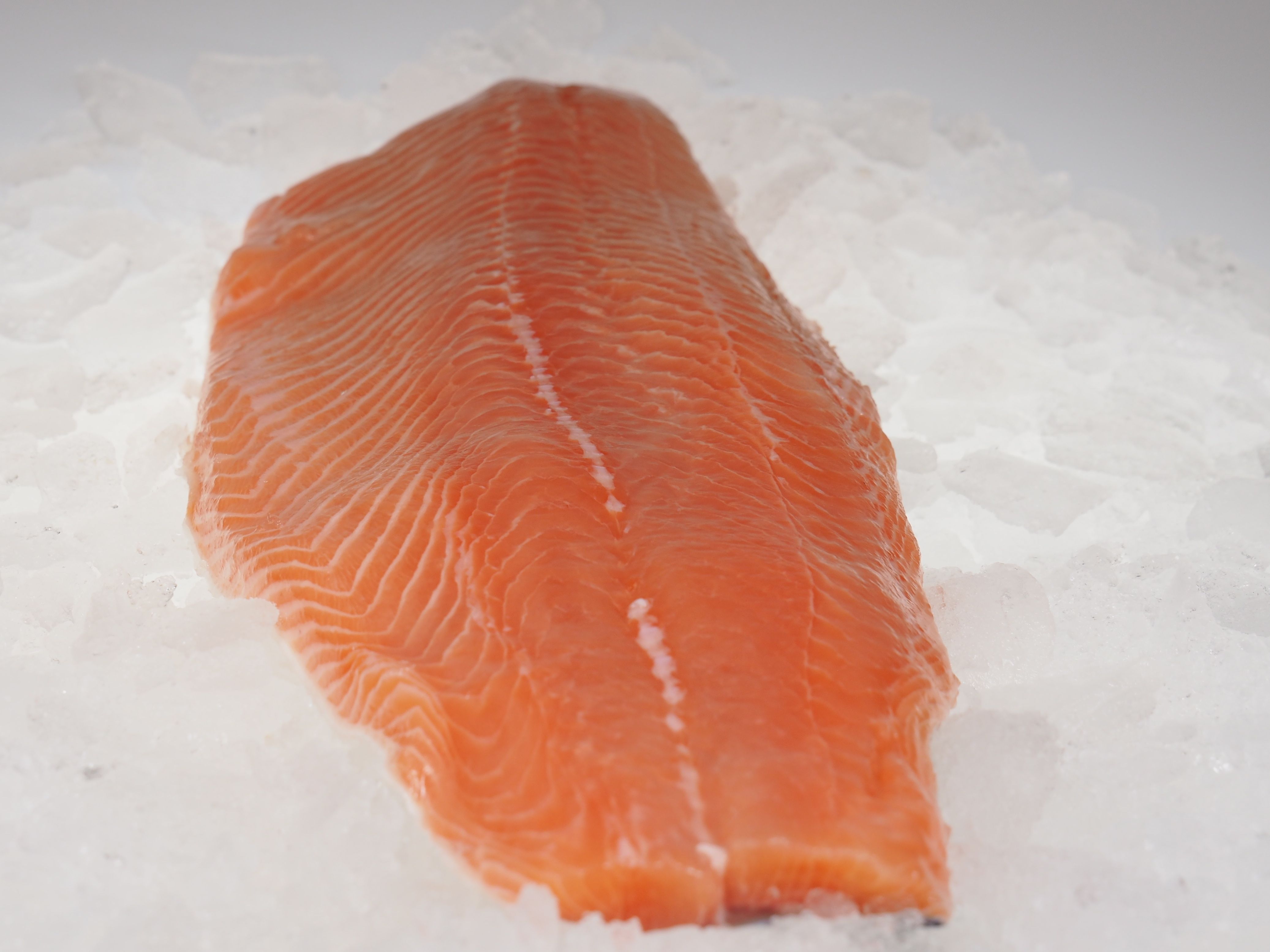 Lachsfilet-1-2kg-4 Lachsfilet mit Haut