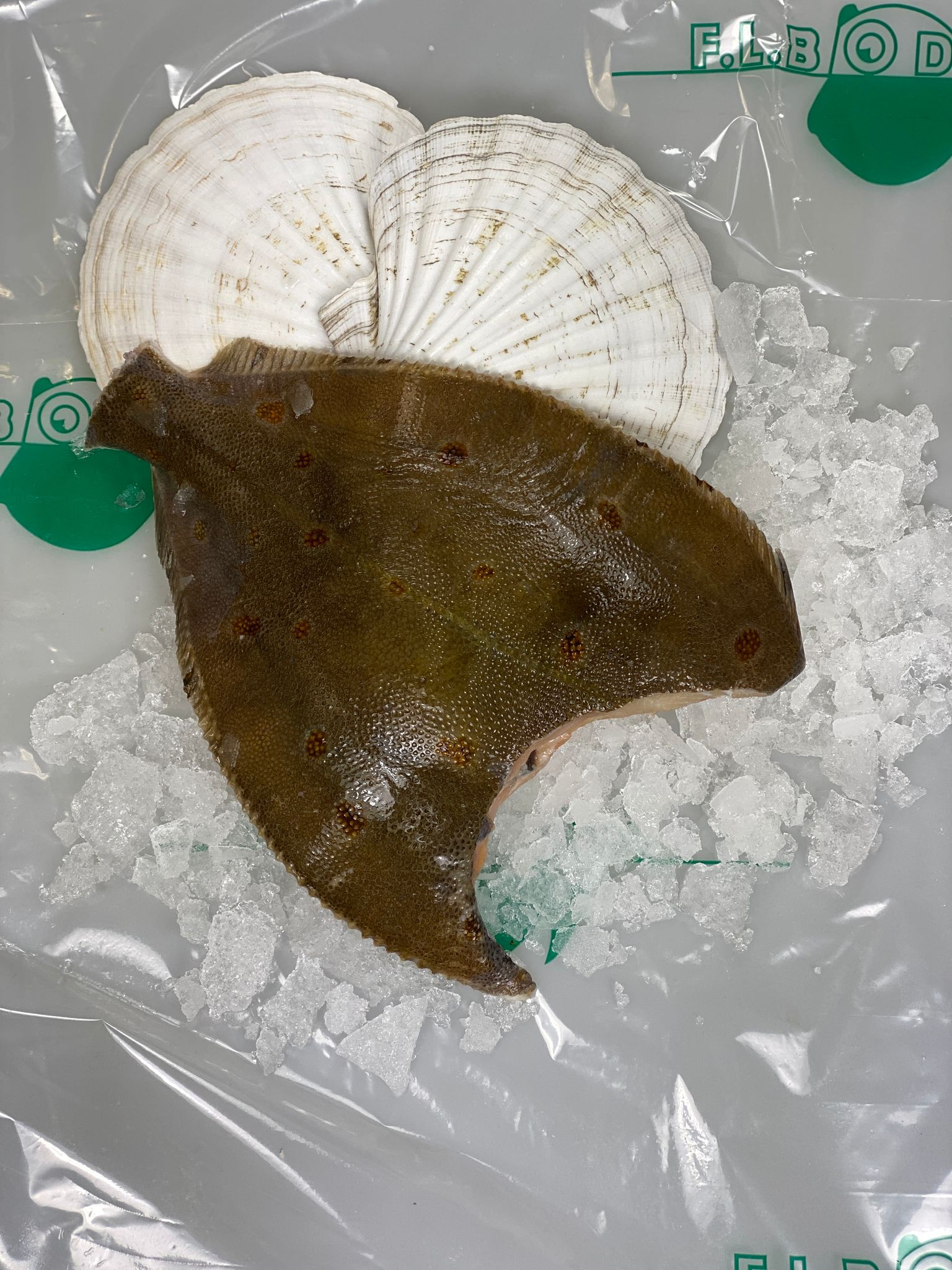 Scholle küchenfertig 400 g TK